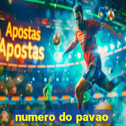 numero do pavao